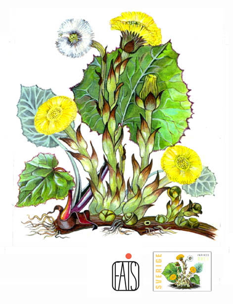 originalskiss tussilago frim&auml;rke